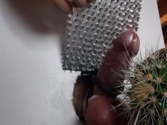 Man using cactus to inflict pain in his dick